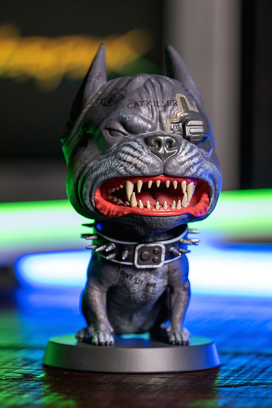 CYBERPUNK 2077 V'S DASHBOARD CYBERDOG