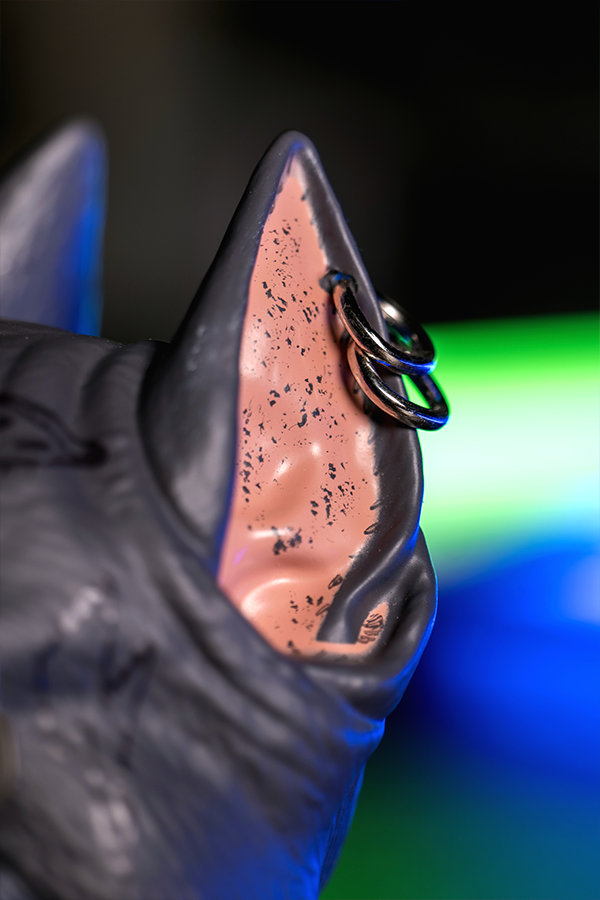 CYBERPUNK 2077 V'S DASHBOARD CYBERDOG